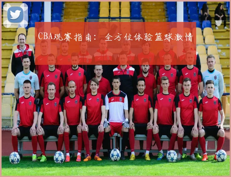 CBA观赛指南：全方位体验篮球激情